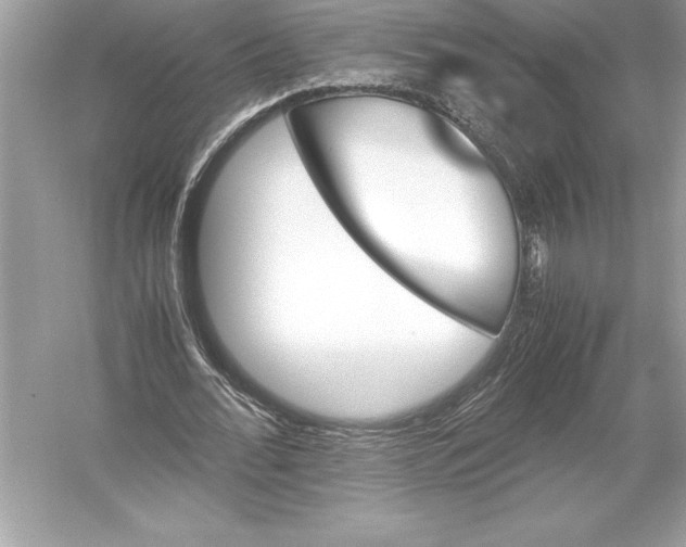 X0000051910676200507222109