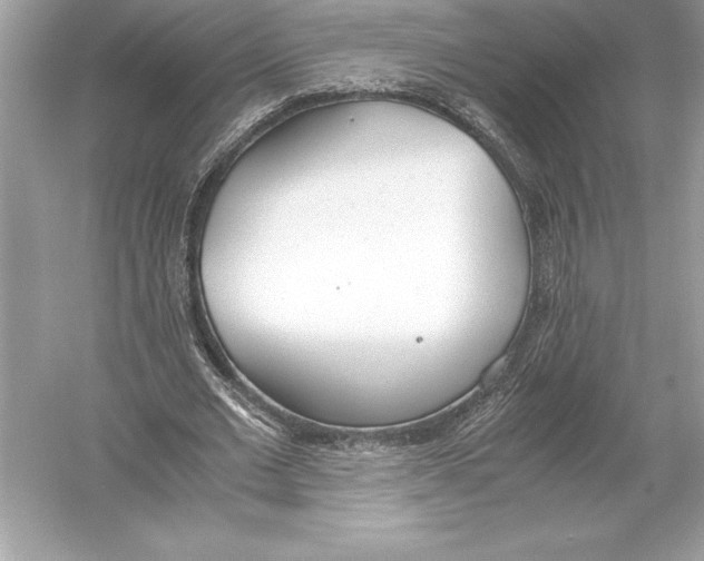 X0000051910677200507222109