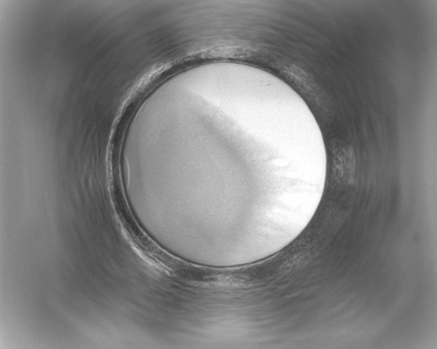 X0000051910678200507222109