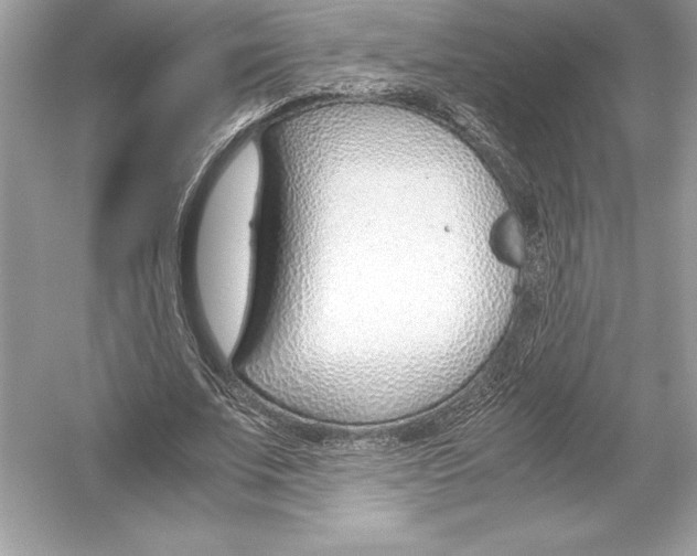 X0000051910679200507222109