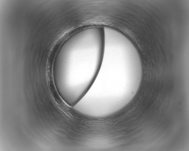 X0000051910680200507222109