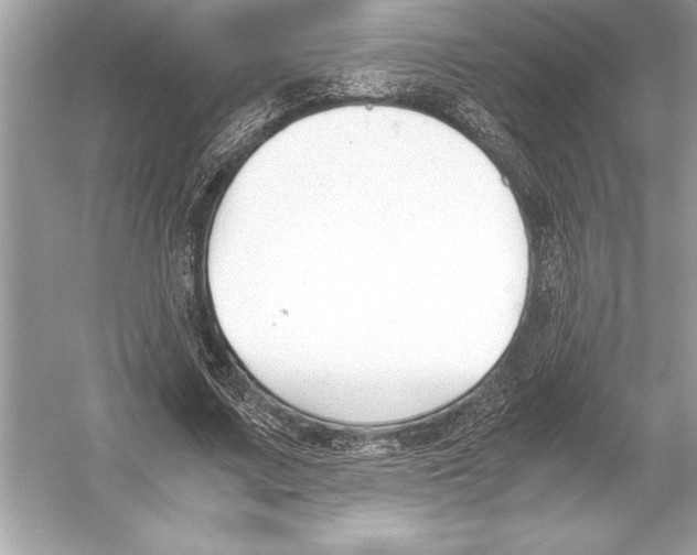 X0000051910683200507222109