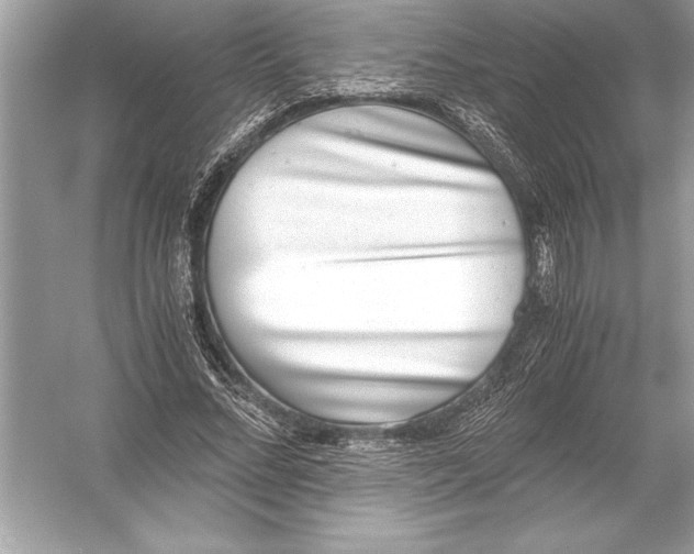 X0000051910684200507222109