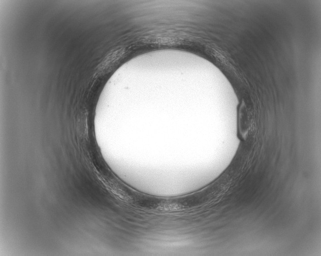 X0000051910685200507222109