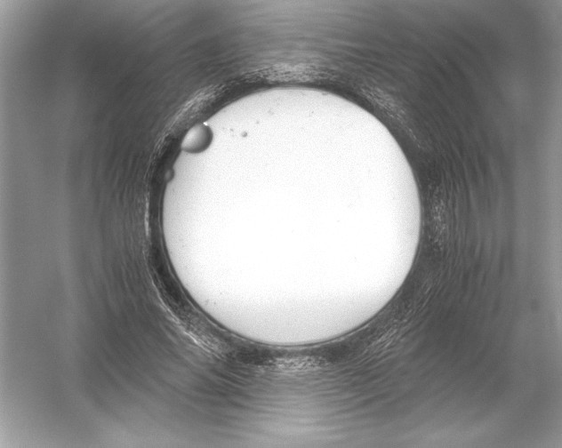 X0000051910686200507222109