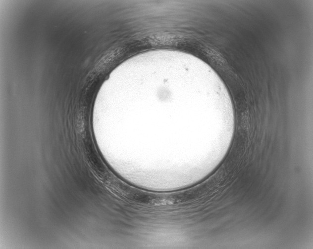 X0000051910687200507222109