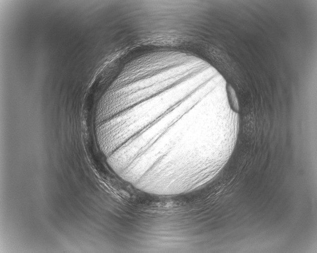 X0000051910688200507222109