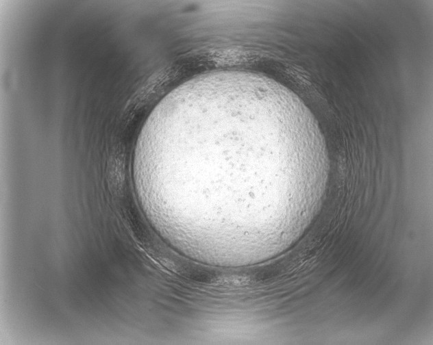 X0000051910691200507222108