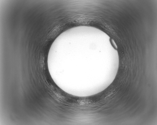 X0000051910693200507222108