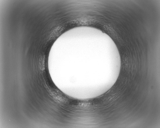 X0000051910694200507222108