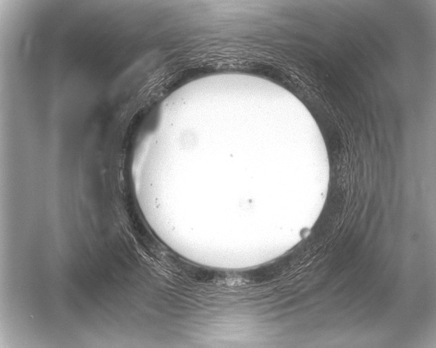 X0000051910695200507222108