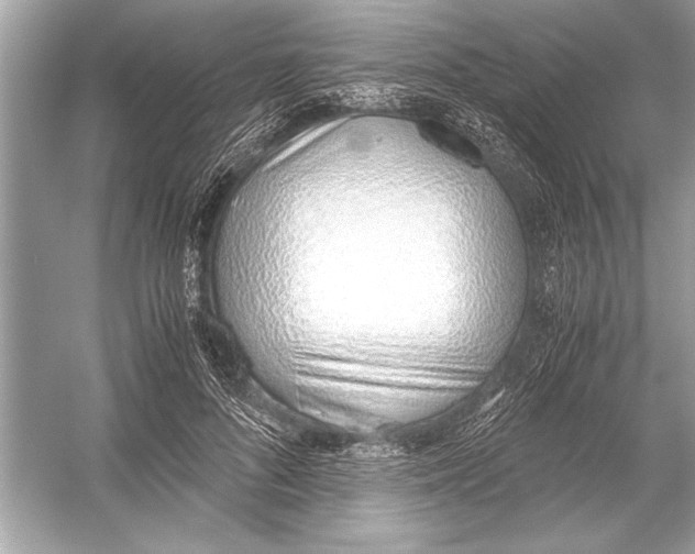 X0000051910696200507222108