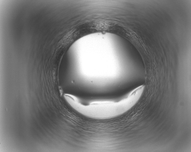 X0000051910697200507222108