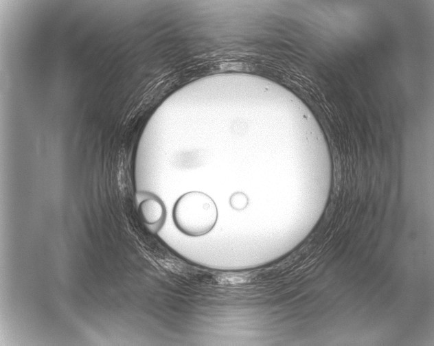 X0000051910698200507222108