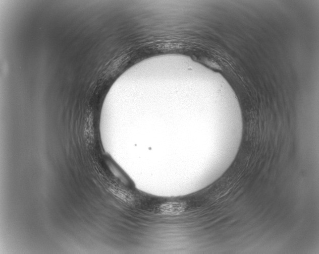 X0000051910700200507222108