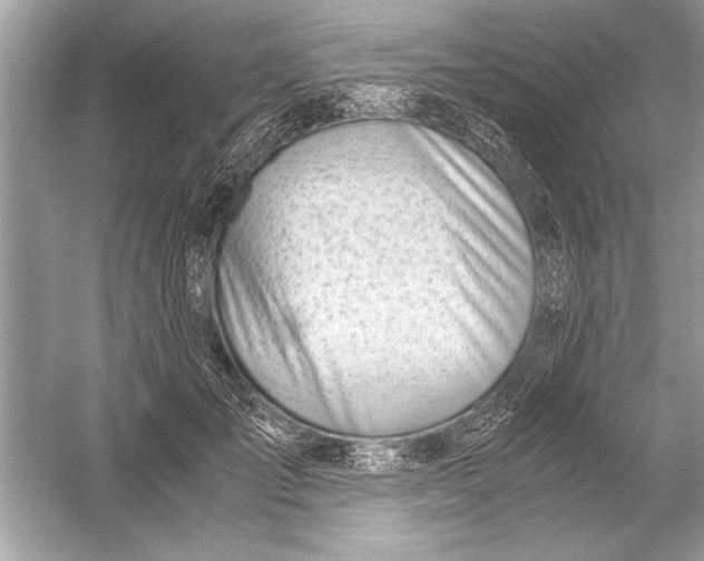 X0000051910701200507222108