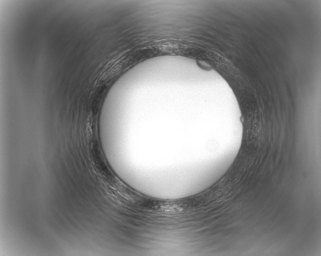 X0000051910702200507222108