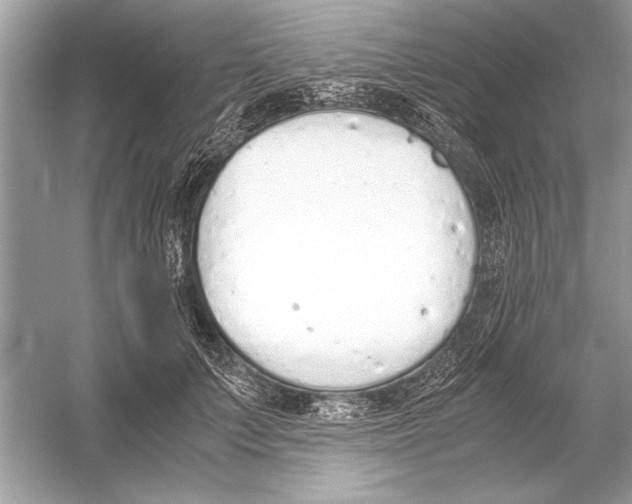 X0000051910703200507222108