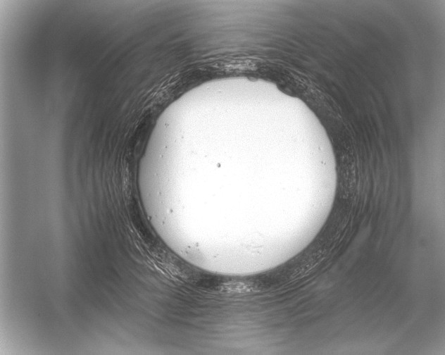 X0000051910704200507222108