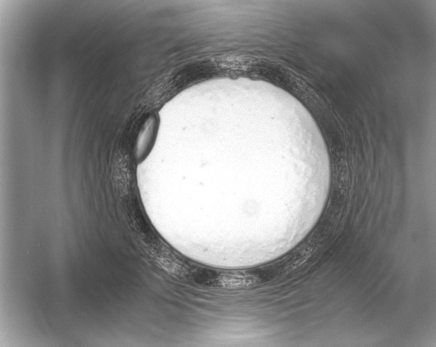 X0000051910707200507222108