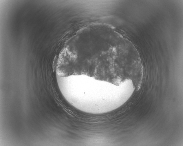 X0000051910711200507222108