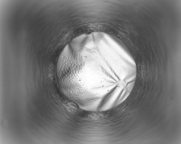 X0000051910712200507222108