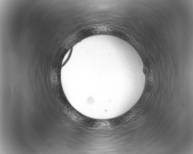 X0000051910715200507222108