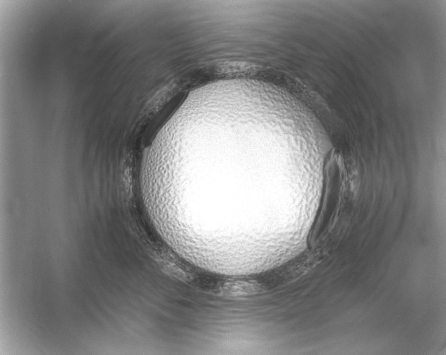 X0000051910716200507222108