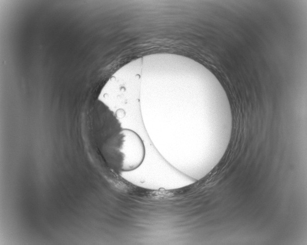 X0000051910719200507222108