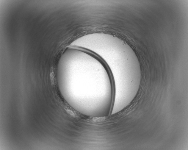 X0000051910720200507222108