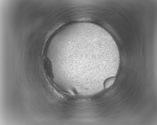 X0000051910721200507222107