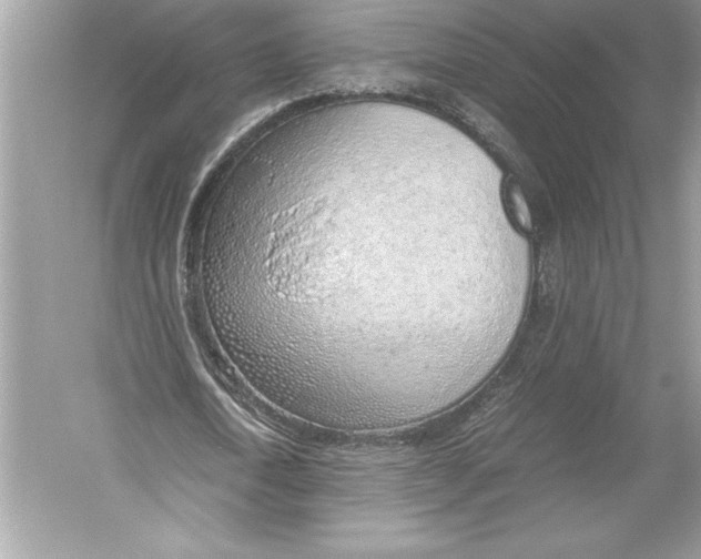 X0000051910722200507222107