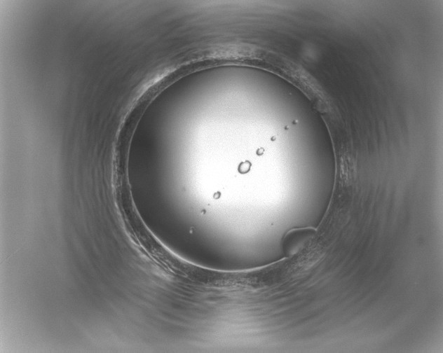 X0000051910724200507222107