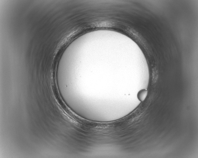 X0000051910725200507222107