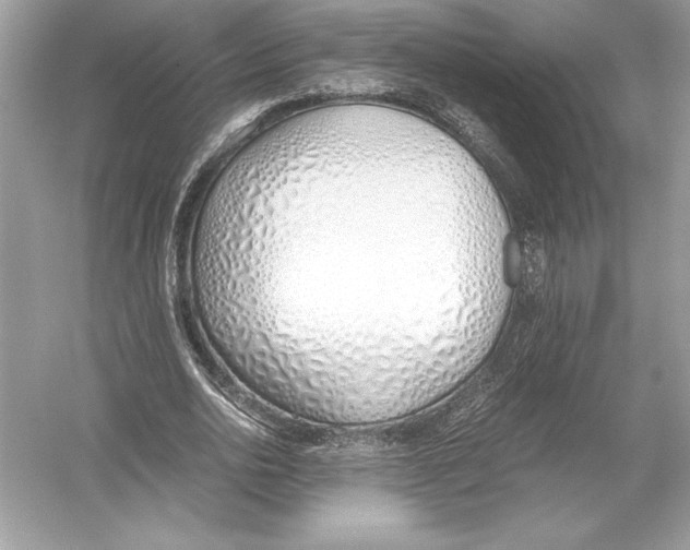 X0000051910726200507222107