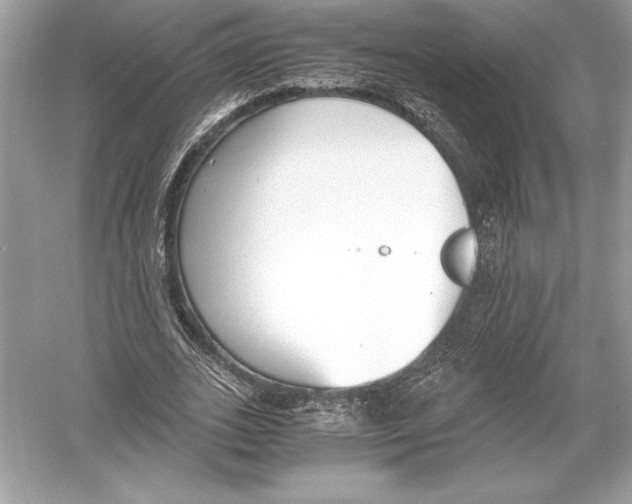 X0000051910727200507222107