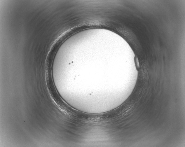 X0000051910728200507222107