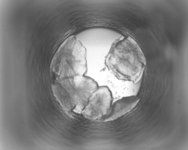 X0000051910729200507222107