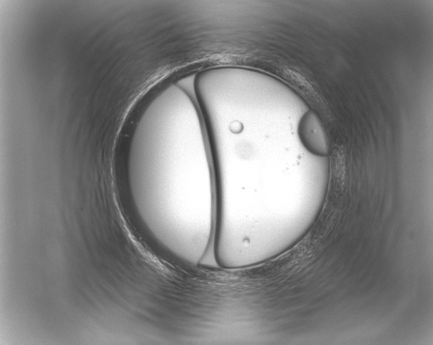 X0000051910730200507222107