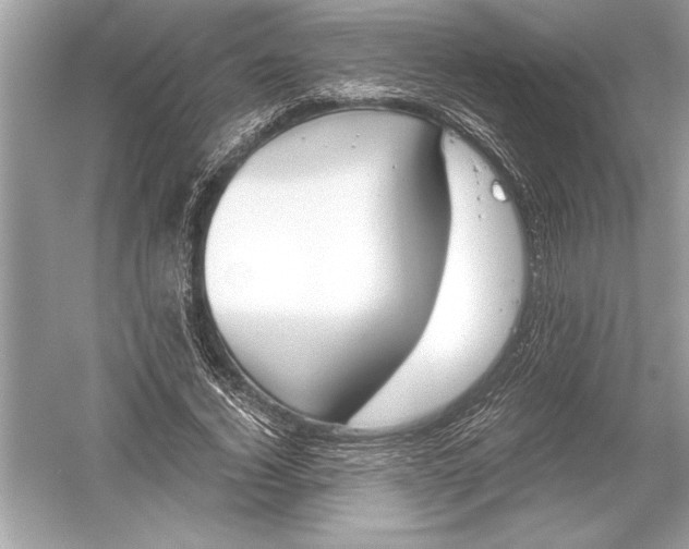 X0000051910732200507222107