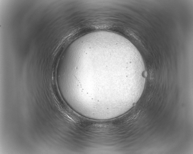 X0000051910733200507222107