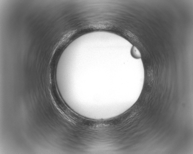 X0000051910734200507222107