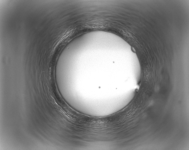 X0000051910735200507222107