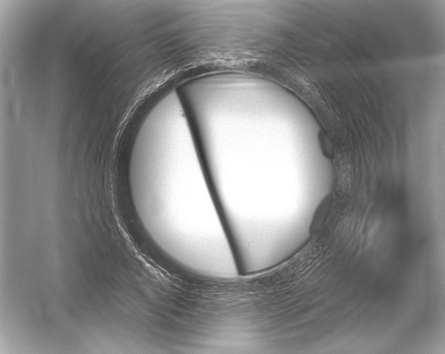 X0000051910736200507222107