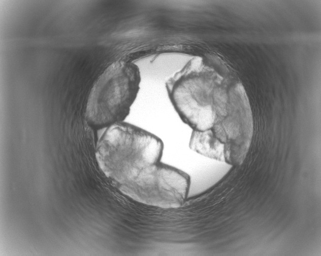 X0000051910737200507222107