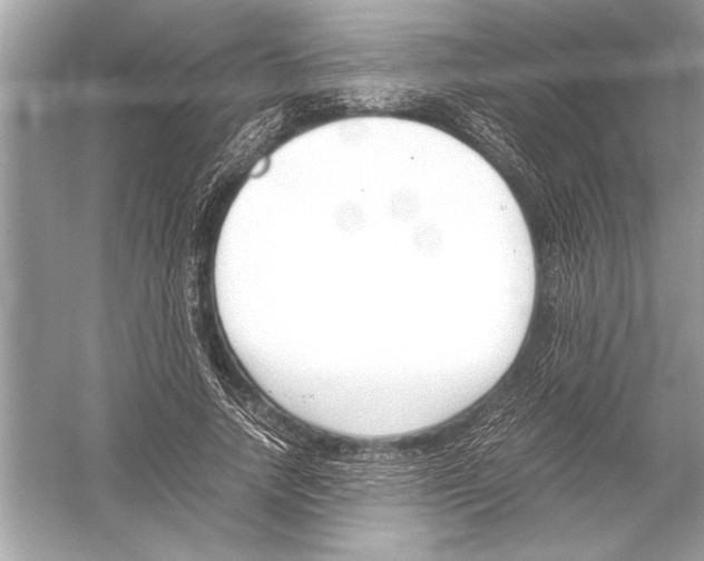 X0000051910738200507222107