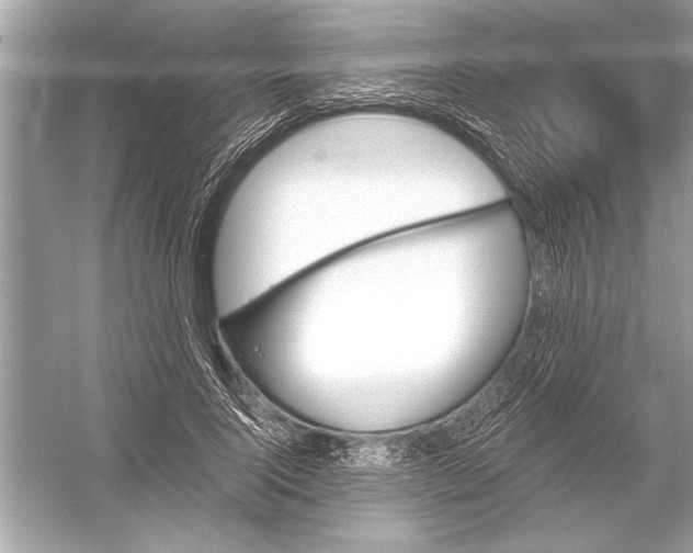 X0000051910740200507222107