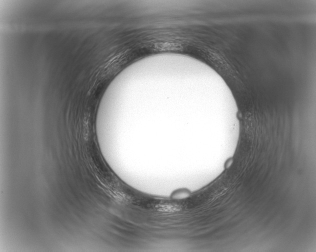 X0000051910741200507222107