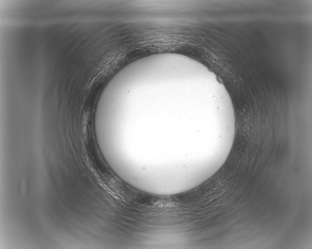 X0000051910742200507222108