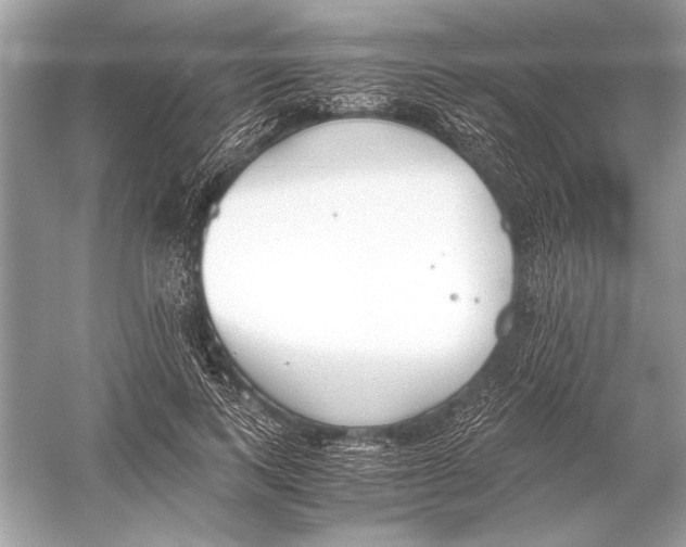 X0000051910743200507222108